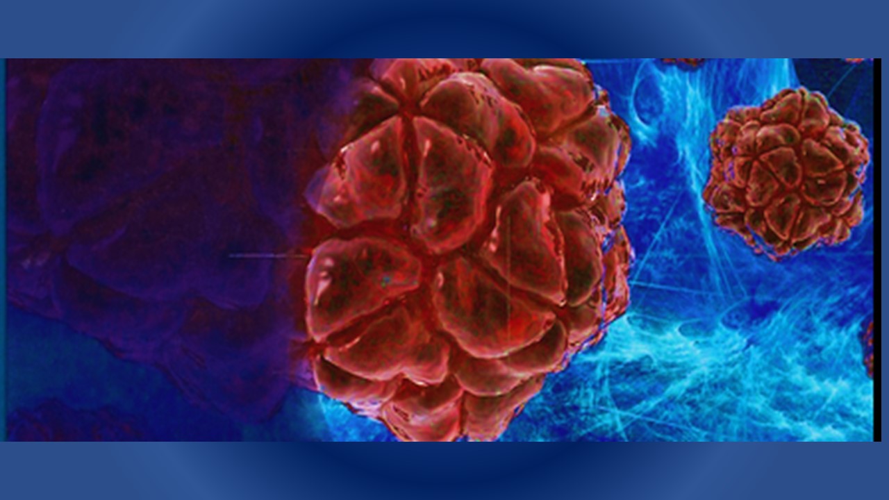 LIBRO DE FISIOPATOLOGIA DE PORTH